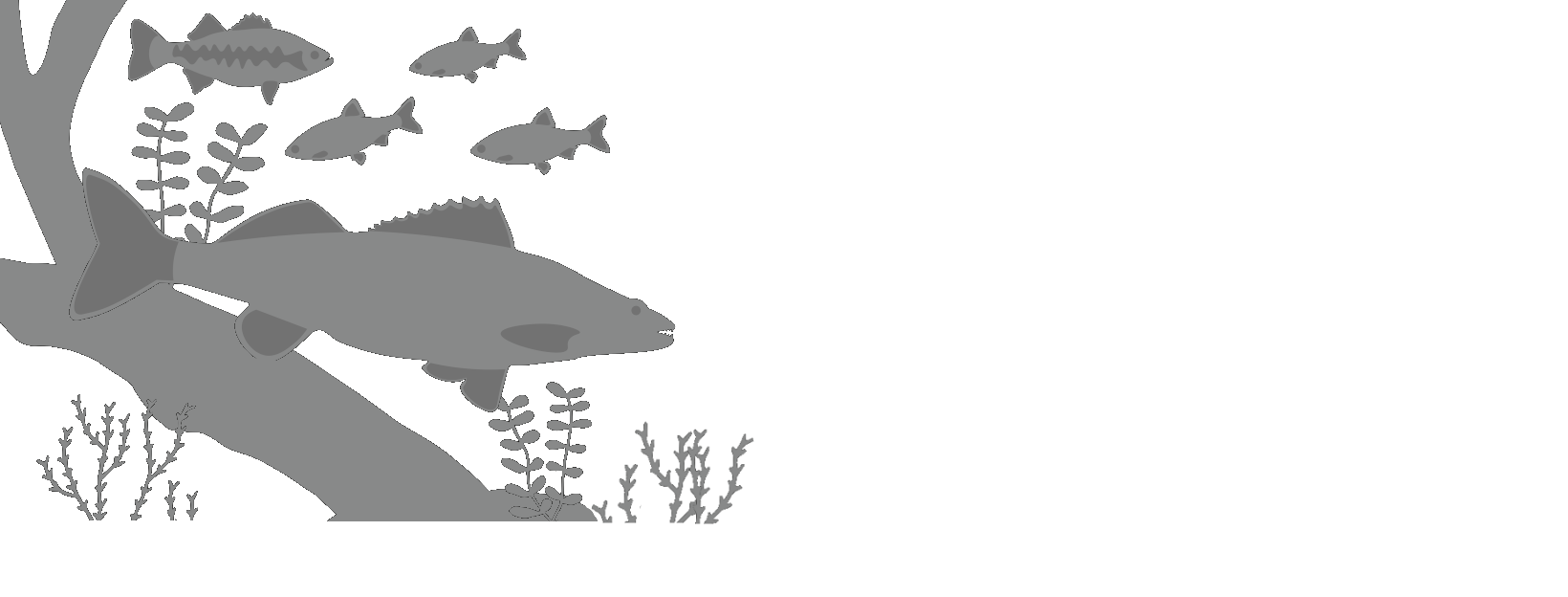 Découvrez Worldshop Fishing